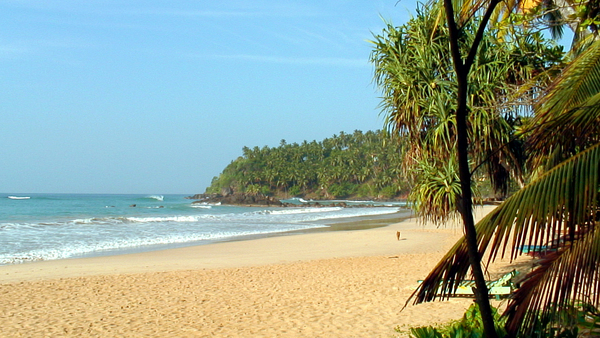 Hotel Sri Lanka Lazy Lizard