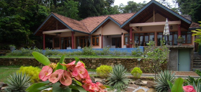 Hotel Sri Lanka Lazy Lizard